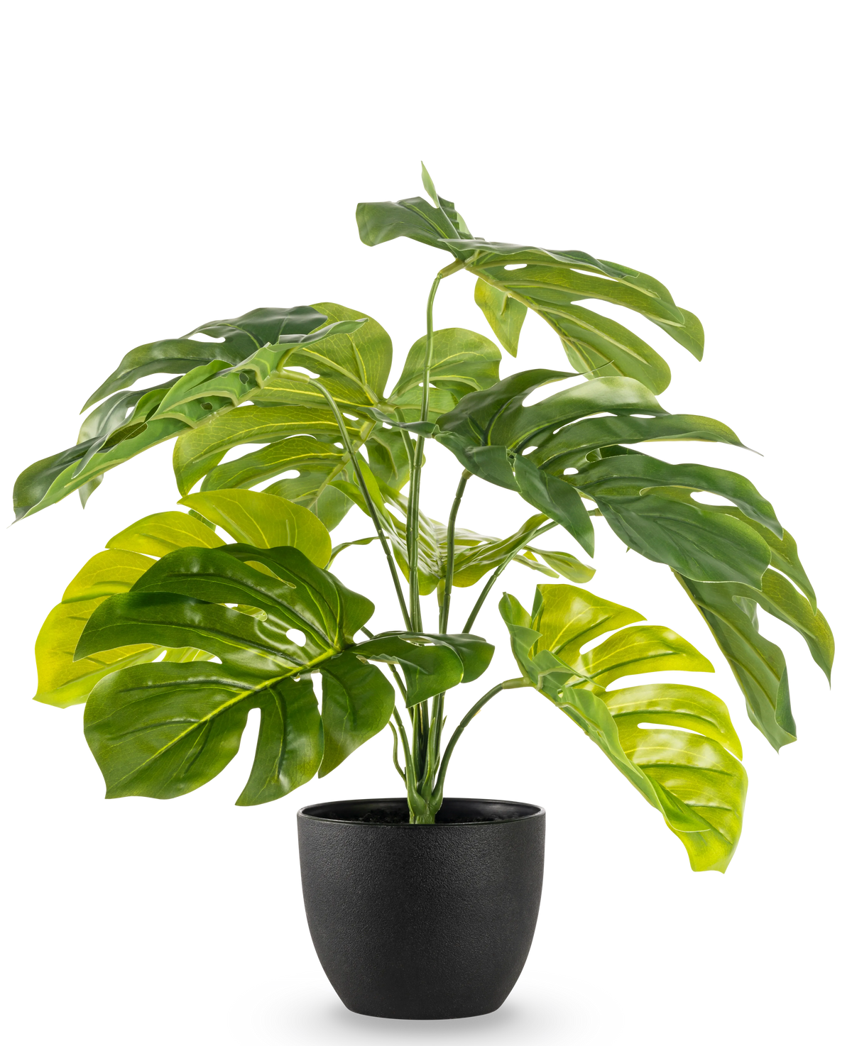 Artificiell Monstera 55 cm i svart dekorativ kruka har stora, glänsande, kluvna gröna blad i en svart dekorativ kruka, mot en vanlig vit bakgrund.