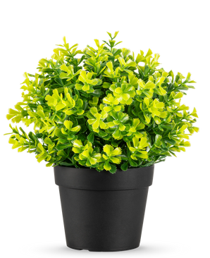 Konstgjord rosmarin UV 22 cm växt har klargröna och gula blad i en vanlig svart plastkruka, mot en vit bakgrund.