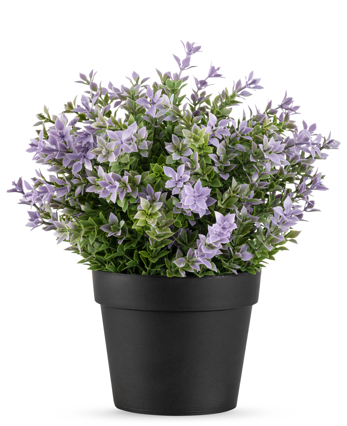 Konstgjorda växten Buxus lila UV 22 cm har en svart blomkruka med en frodig konstväxt med små ljuslila blommor och gröna blad mot en vanlig vit bakgrund.