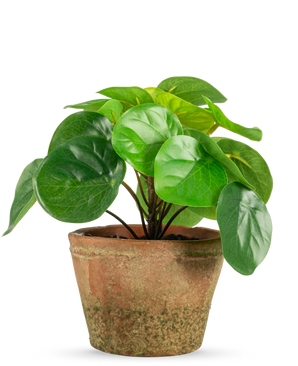 Konstgjorda växten Pilea i kruka mini UV 15 cm har runda, glänsande gröna blad i en väderbiten brun terrakottakruka, mot en vanlig vit bakgrund.