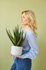 En kvinna med långt blont hår i en ljusblå blus och blå byxor håller den konstgjorda växten Aloe Vera 43 cm i en kruka mot en vanlig ljusgrön bakgrund.