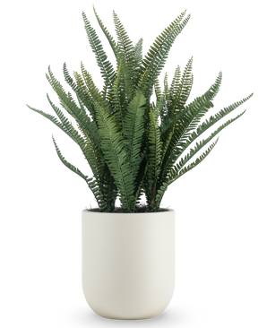 Den konstgjorda Boston Fern 82 cm har långa, smala gröna blad och kommer i en enkel rund vit kruka, mot en vanlig vit bakgrund.