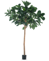 The Artificial Tree Tobacco Plant 260 cm är en hög konstgjord växt med frodiga gröna blad och en smal brun stam, i en kompakt svart kruka och mot en vanlig vit bakgrund.