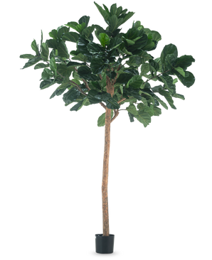 The Artificial Tree Tobacco Plant 260 cm är en hög konstgjord växt med frodiga gröna blad och en smal brun stam, i en kompakt svart kruka och mot en vanlig vit bakgrund.