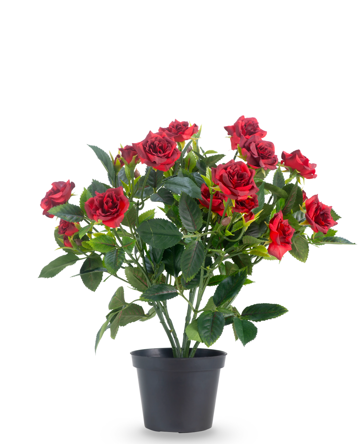 En artificiell växtterrassros 35 cm i rött/svart har livfulla röda konstgjorda rosor med frodiga gröna blad i en svart kruka, mot en vanlig vit bakgrund.