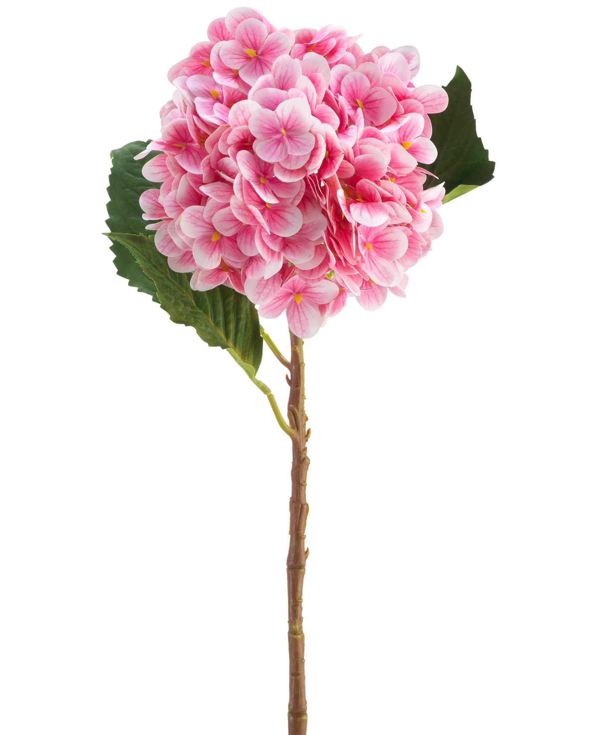 Artificiell blomhortensia Real Touch rosa 58 cm är en enda rosa konstgjord hortensiastam med gröna blad, med en rund blomning av många små kronblad, vackert detaljerad och isolerad på en vit bakgrund.