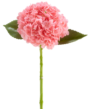Den konstgjorda blomman Charlotte Hydrangea Real Touch mörkrosa är en konstgjord hortensiablomma på 55 cm lång, med en rund klase av mörkrosa kronblad och gröna blad på en lång stjälk, isolerad på en vit bakgrund.