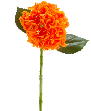 Den konstgjorda blomman Charlotte Hydrangea Real Touch orange 55 cm har en levande orange hortensiablomma med kronblad, en grön stjälk och två stora gröna blad mot en vit bakgrund.