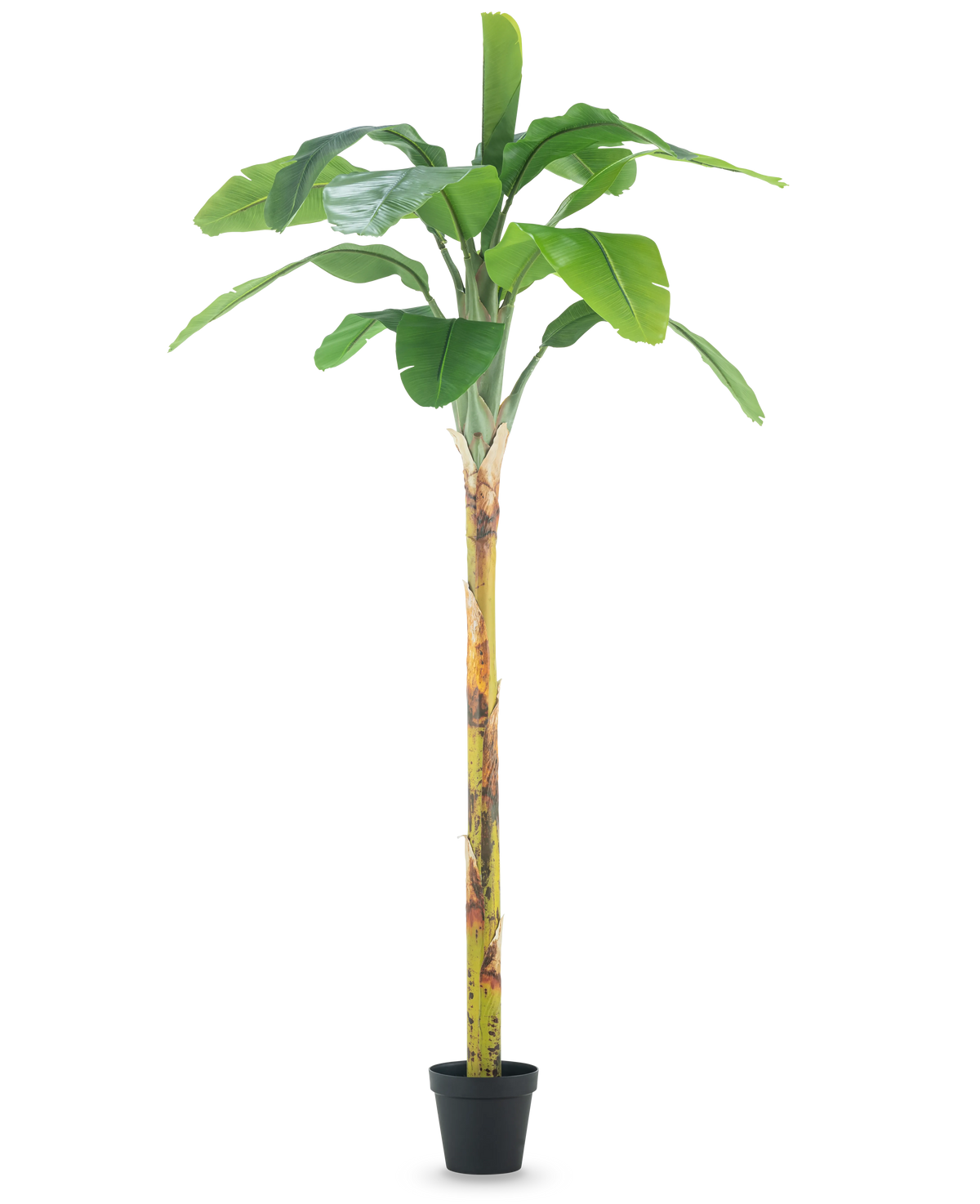 Den konstgjorda växten Bananträd 250 cm är ett högt konstgjort bananträd med breda gröna blad och en strukturerad stam, utställd i en liten svart kruka på en vanlig vit bakgrund.