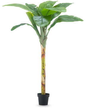 Det konstgjorda bananträdet 180 cm har breda gröna blad och en strukturerad stam i en liten svart kruka, mot en vanlig vit bakgrund.