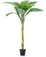 Det konstgjorda bananträdet 180 cm har breda gröna blad och en strukturerad stam i en liten svart kruka, mot en vanlig vit bakgrund.