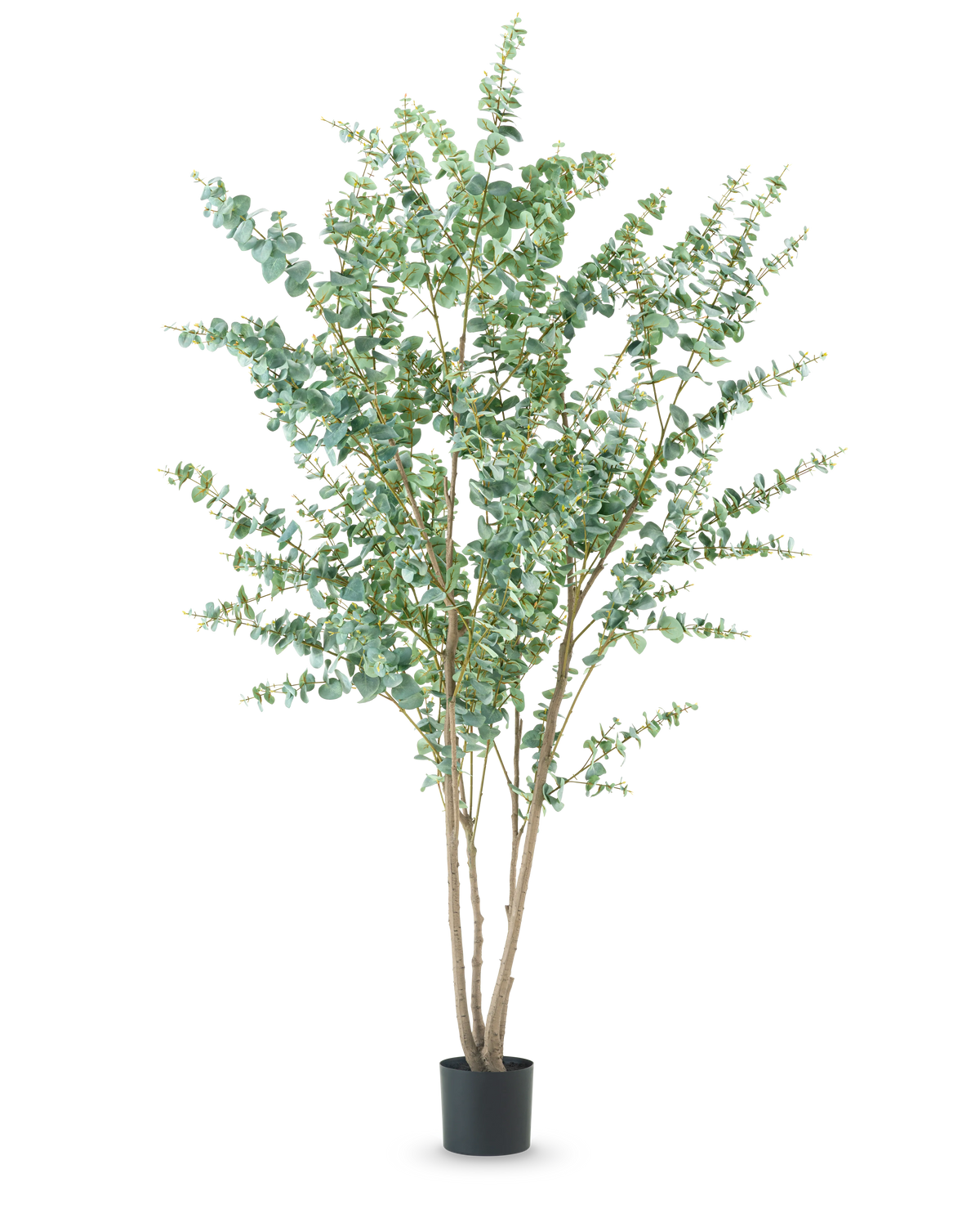 Den konstgjorda växten Eucalyptus 240 cm är en hög konstgjord växt med flera tunna vedartade stjälkar och runda gröna blad, som visas i en enkel svart kruka mot en vanlig vit bakgrund.