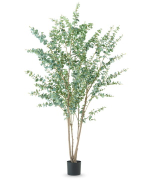 Den konstgjorda växten Eucalyptus 240 cm är en hög konstgjord växt med flera tunna vedartade stjälkar och runda gröna blad, som visas i en enkel svart kruka mot en vanlig vit bakgrund.