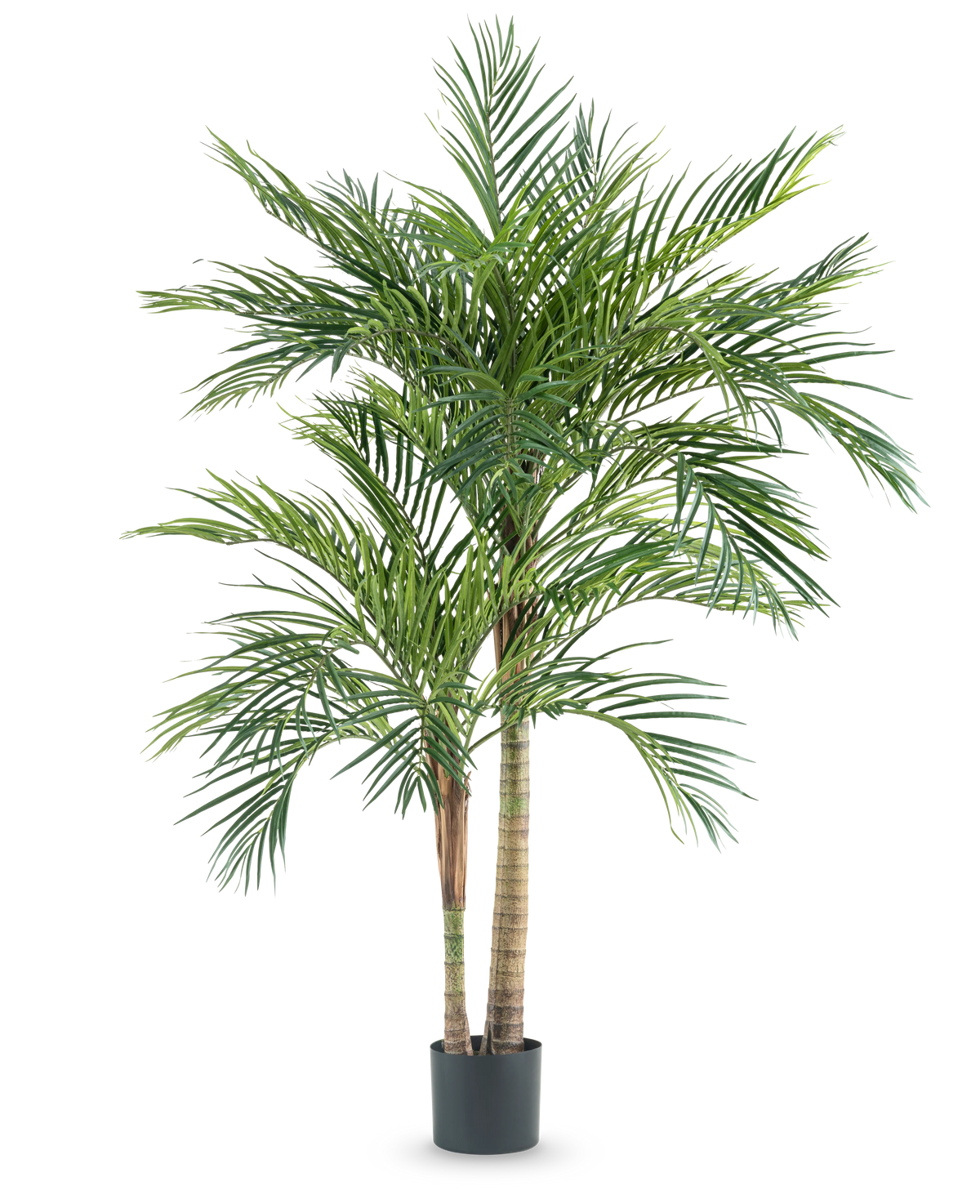 Den konstgjorda växten Areca 180 cm är en hög konstgjord palm med flera smala stammar och långa gröna blad, i en enkel svart kruka mot vit bakgrund.