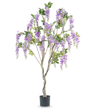 Den konstgjorda Wisteria 180 cm-växten har en vriden stam med naturtrogna klasar av lila blommor och gröna blad mot en vit bakgrund.