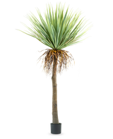 Den konstgjorda yuccaväxten 153 cm har en hög, grov brun stam med gröna taggiga blad upptill och några torkade blad nertill, mot en vanlig vit bakgrund.