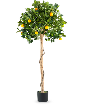 Ett konstgjord växtapelsinträd på enkelstam 150 cm i kruka med en smal stam, livfulla gröna blad och realistiska orange frukter, avbildad mot en vanlig vit bakgrund.