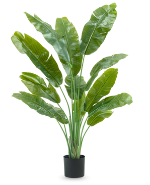 Konstgjorda växten Strelitzia Nicolai Deluxe 165 cm har höga, breda gröna blad i en svart kruka, mot en vit bakgrund - perfekt som en grön konstgjord växt för din inredning.
