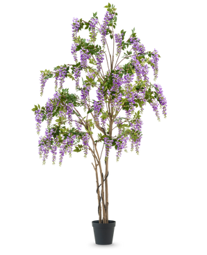 Den konstgjorda blåregnväxten 280 cm är ett högt konstgjort blåregnträd i en svart kruka, med flera smala bruna stammar och kaskadlila blommor med gröna blad, mot en vanlig vit bakgrund.