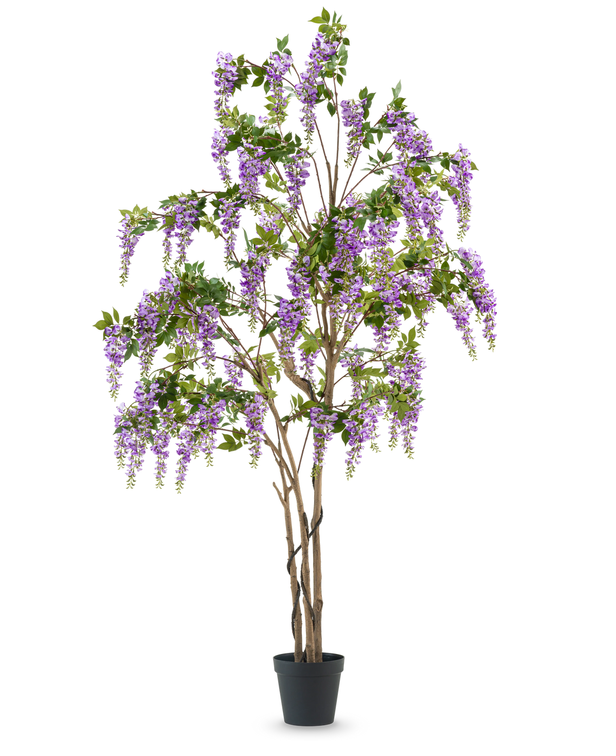 Den konstgjorda blåregnväxten 280 cm är ett högt konstgjort blåregnträd i en svart kruka, med flera smala bruna stammar och kaskadlila blommor med gröna blad, mot en vanlig vit bakgrund.
