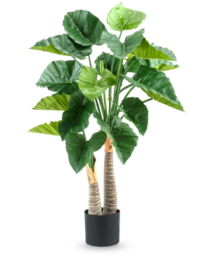 Den konstgjorda växten Alocasia 120 cm har stora, glänsande gröna blad och två tjocka, strukturerade stjälkar i en enkel svart kruka, mot en vit bakgrund.