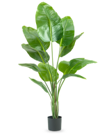 Den konstgjorda växten Strelitzia 150 cm real touch2 har stora, glänsande gröna blad med ett realistiskt "paradisfågel"-utseende och en realistisk finish, presenterad mot en vanlig vit bakgrund.