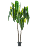 Den konstgjorda växten Anthurium 240 cm är en hög konstgjord växt i kruka med två bruna stjälkar och stora, långsträckta gröna blad mot en vanlig vit bakgrund.