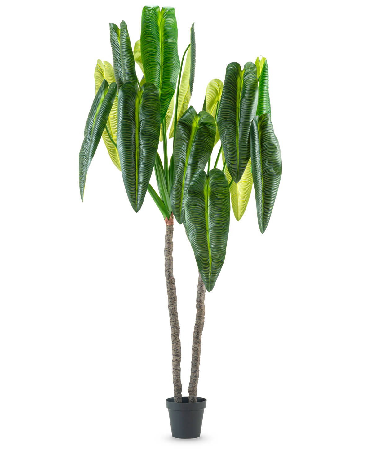 Den konstgjorda växten Anthurium 240 cm är en hög konstgjord växt i kruka med två bruna stjälkar och stora, långsträckta gröna blad mot en vanlig vit bakgrund.