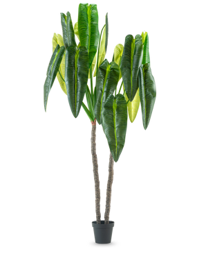 Den konstgjorda växten Anthurium 240 cm är en hög konstgjord växt i kruka med två bruna stjälkar och stora, långsträckta gröna blad mot en vanlig vit bakgrund.