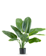 Den konstgjorda växten Strelitzia Real Touch Deluxe 90 cm är en hög krukväxt med stora, glänsande gröna blad, avbildad mot en vanlig vit bakgrund.