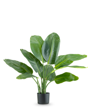Den konstgjorda växten Strelitzia Real Touch Deluxe 90 cm är en hög krukväxt med stora, glänsande gröna blad, avbildad mot en vanlig vit bakgrund.