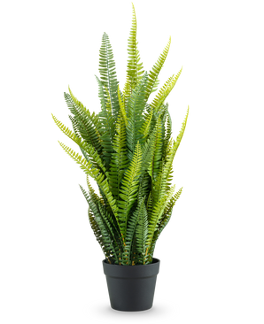 Den konstgjorda Boston Fern 86 cm har höga, frodiga gröna blad i en enkel svart kruka, mot en vanlig vit bakgrund.