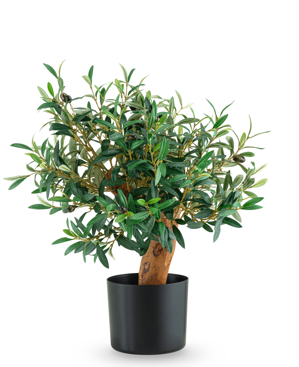 Artificiell Olive Mount UV 60cm är ett litet olivträd i krukor med frodiga gröna löv och en robust stam, presenterad i en elegant svart kruka mot en vanlig vit bakgrund.
