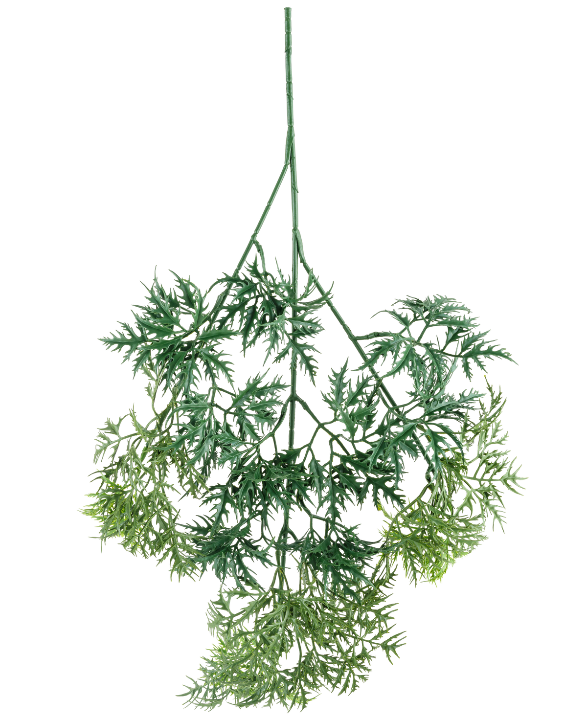 Kunsttak Ming Aralia spray 72 cm har gröna, fjäderlätta konstgjorda blad med fina, nålliknande kanter i olika gröna nyanser, hängande upp och ner mot en vit bakgrund.