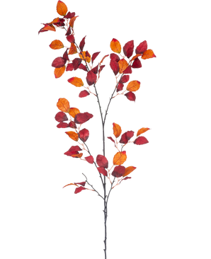 Den konstgjorda grenen Red Beech 156 cm är en enkel gren med flera stjälkar, med livfulla röda och orange höstlöv mot en vanlig vit bakgrund.