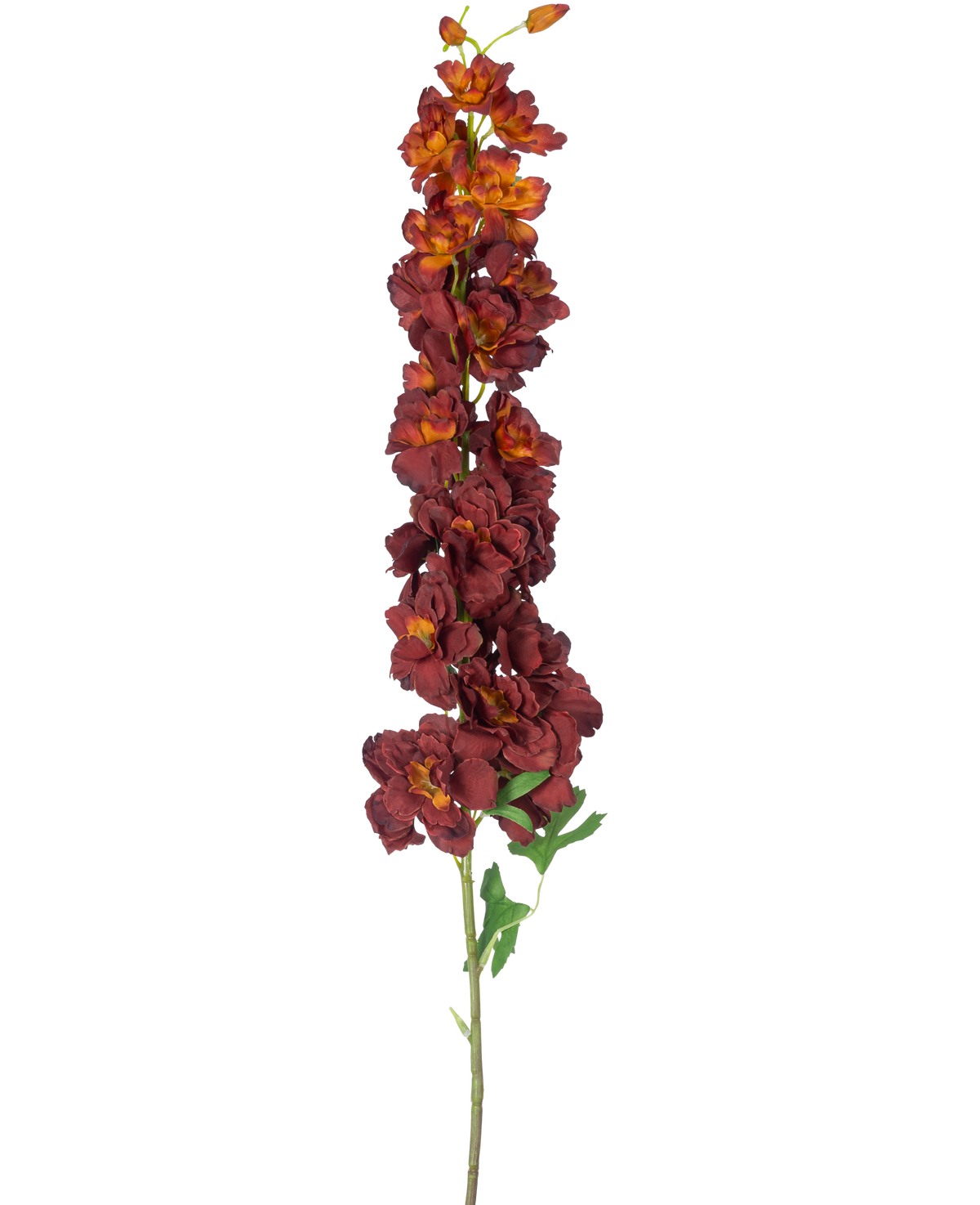 Den konstgjorda blomman Delphinium 105 cm bordeaux har en lång, enkel stjälk med flera mörkröda och orange konstgjorda blommor och gröna blad, isolerade på en vit bakgrund.