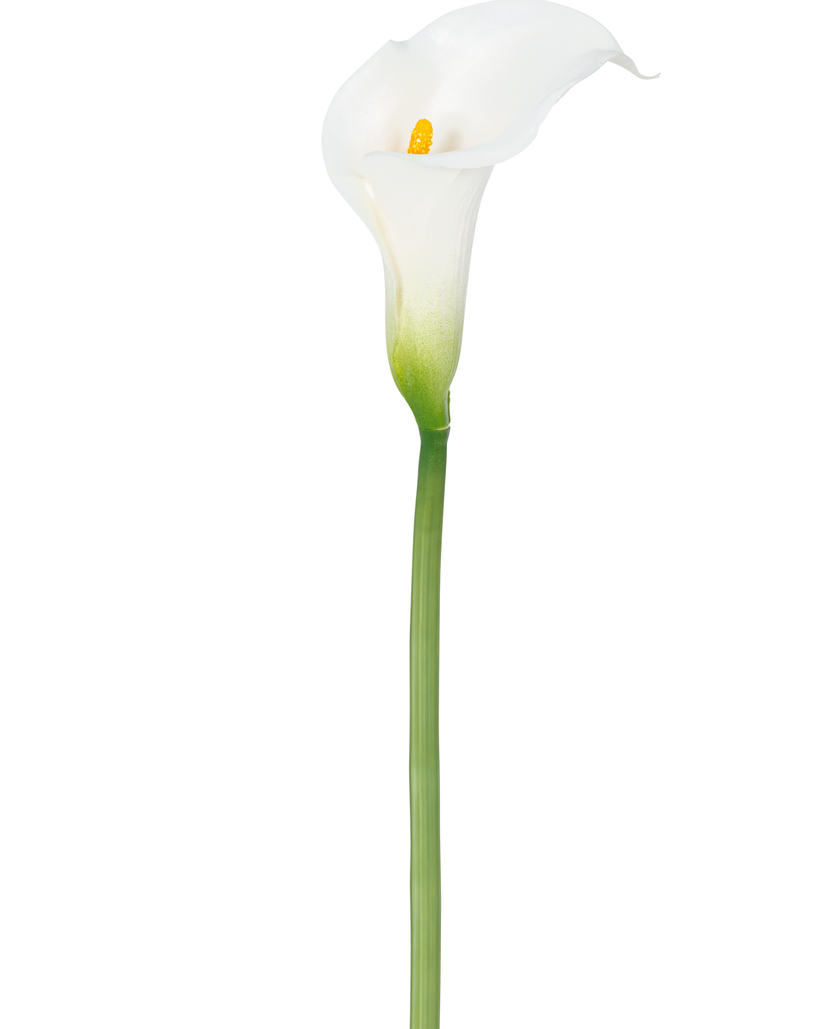 En konstgjord lilja 84 cm vit med gult hjärta.