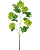 Den konstgjorda grenen Snowball 77 cm grön har en enda stjälk med flera klasar av runda, gröngula blommor och mörkgröna, tandade blad, allt mot en vit bakgrund.