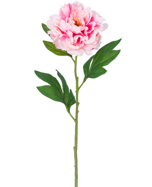 En enda konstgjord blompion 77 cm ljusrosa med frodiga gröna blad mot en vanlig vit bakgrund.