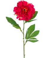 Den konstgjorda blompionen 77 cm röd är en enda konstgjord pion med en stor, levande röd blomma och gröna blad på en lång stjälk, avbildad mot en vit bakgrund.