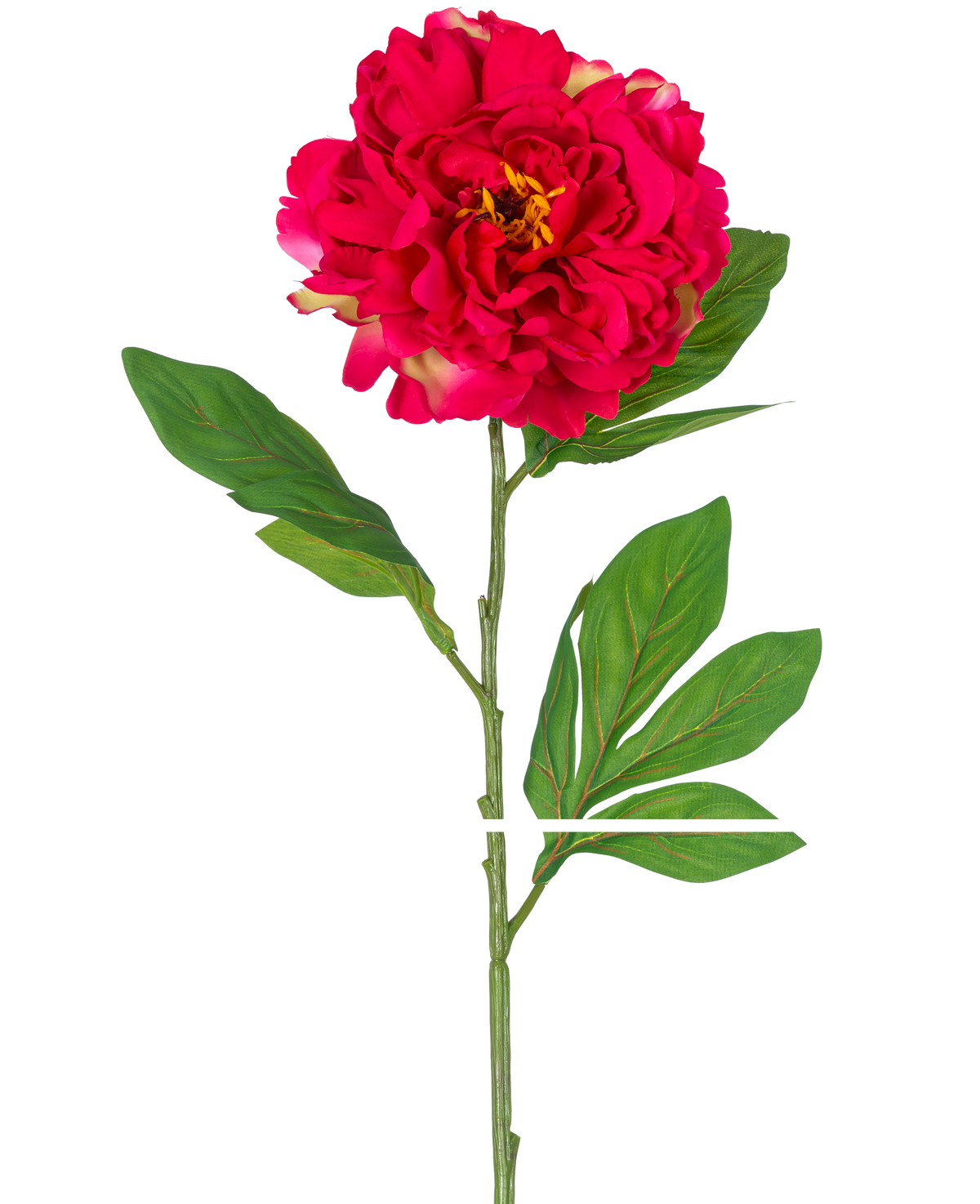 Den konstgjorda blompionen 77 cm röd är en enda konstgjord pion med en stor, levande röd blomma och gröna blad på en lång stjälk, avbildad mot en vit bakgrund.
