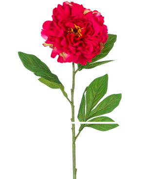 Den konstgjorda blompionen 77 cm röd är en enda konstgjord pion med en stor, levande röd blomma och gröna blad på en lång stjälk, avbildad mot en vit bakgrund.