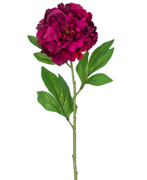 En enda konstgjord blompion 77 cm konstgjord auberginestjälk, som visar en djup magenta pion med några gröna blad, mot en vanlig vit bakgrund.