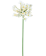 Konstgjorda blomman Agapanthus 77 cm vit har en enda hög grön stjälk med ett knippe vita små blommor med gult hjärta, mot en vanlig vit bakgrund.