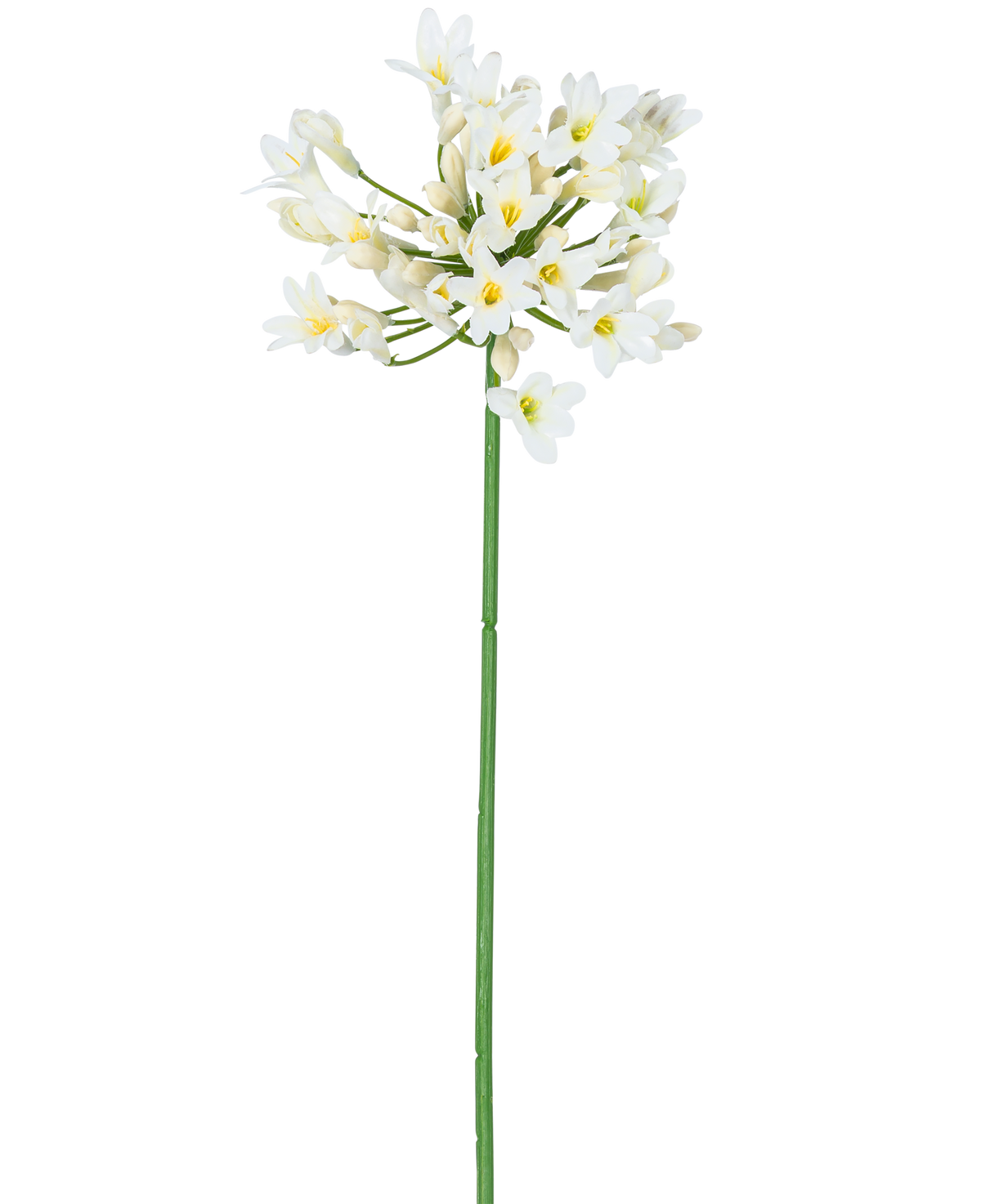 Konstgjorda blomman Agapanthus 77 cm vit har en enda hög grön stjälk med ett knippe vita små blommor med gult hjärta, mot en vanlig vit bakgrund.