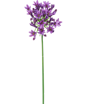 En enda lång grön stjälk med liten, stjärnformad lila konstgjord blomma Agapanthus 77 cm lila blommor som blommar på toppen, isolerade på en vit bakgrund.