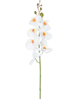 Den konstgjorda blomsterorkidén 84 cm vit har en enda stjälk av vita orkidéblommor med gula och rosa hjärtan och gröna blomknoppar i toppen, mot en vanlig vit bakgrund.