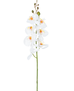 Den konstgjorda blomsterorkidén 84 cm vit har en enda stjälk av vita orkidéblommor med gula och rosa hjärtan och gröna blomknoppar i toppen, mot en vanlig vit bakgrund.