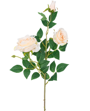Artificiell Rose Neo deluxe 75 cm beige har en enda stjälk med två ljusbeige blommande rosor, en rosknopp och flera gröna blad, mot en vanlig vit bakgrund.