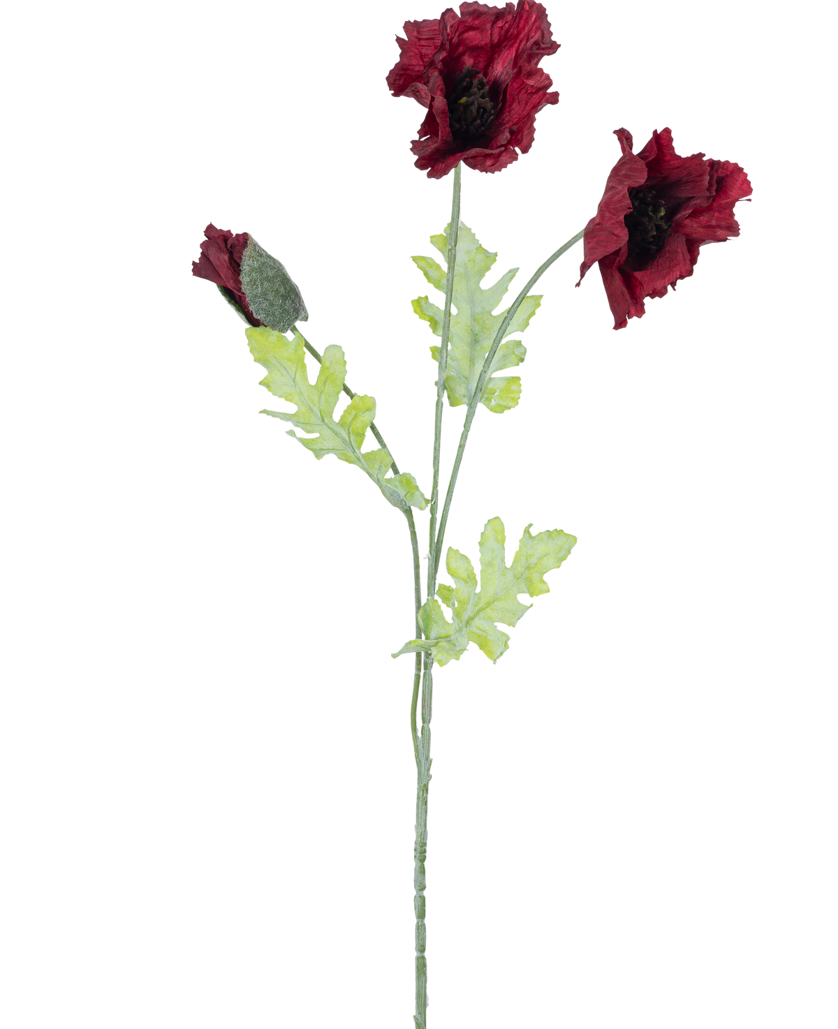 Artificiell blomvallmo 73 cm bordeaux har en enda stjälk med två öppna mörkröda vallmoblommor, en knopp och flera gröna tandade blad mot en vit bakgrund.